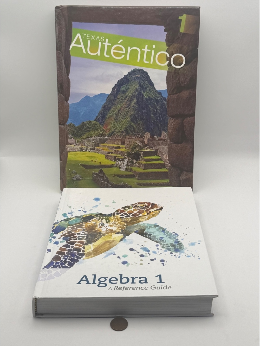 Autentico 1 and Algebra 1 Reference Guide textbook set
